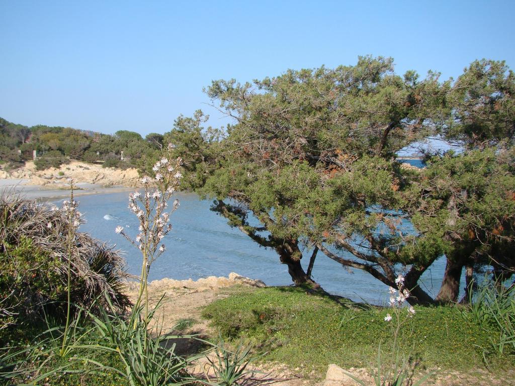 S'Ustiarvu- Nuova Gestione Hotel Cala Liberotto Exterior photo